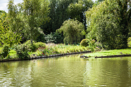 春天漂浮在运河之间的各种颜色的鲜花花园，法国亚眠的 Hortillonnages