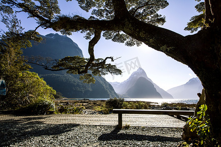 新米摄影照片_背景有长凳、树和山的风景