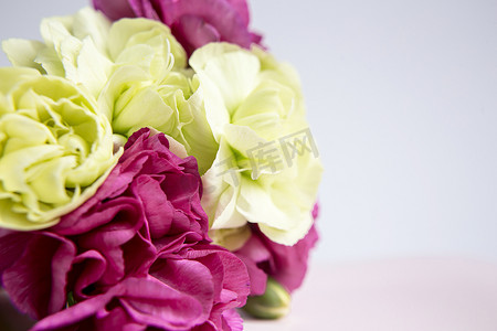 淡绿色丝带摄影照片_白色淡紫色背景上的粉红色紫色和黄绿色康乃馨。