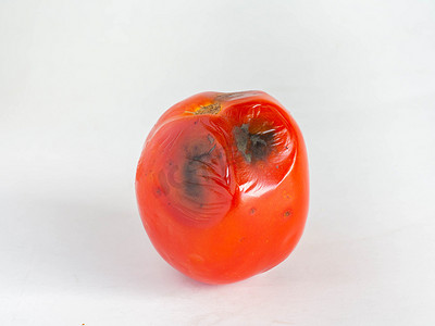 烂番茄，是一种红色水果，酸酸甜甜，皮肤有黑色霉菌，白色背景