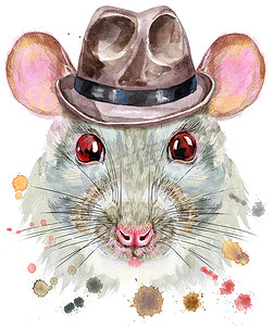带飞溅的棕色帽子的白鼠水彩肖像