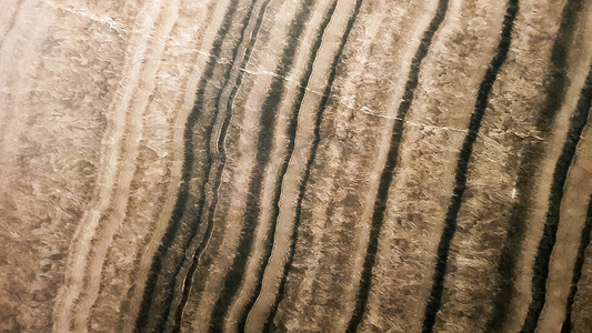 砂岩表面有波浪状的棕色纹理。