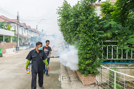 雾化 DDT 喷雾灭蚊以保护病毒