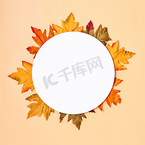 9 月和 10 月的自然背景，大季节的质感与秋天的心情。