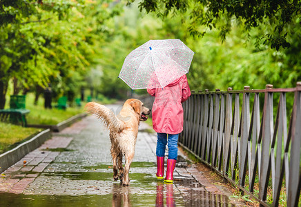 雨中遛狗的小女孩