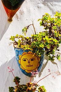 墙上挂着鲜花的陶瓷花盆，装点城市空间