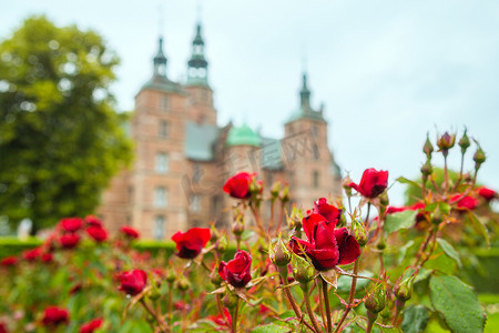 罗森博格城堡花园中的玫瑰花坛