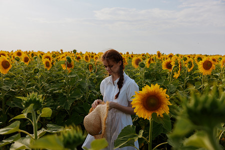 漂亮向日葵摄影照片_向日葵田里的女人手拿帽子自然景观