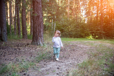 可爱的小孩在树林里散步
