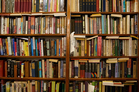 学生学习gif摄影照片_书店里满是书的书架墙