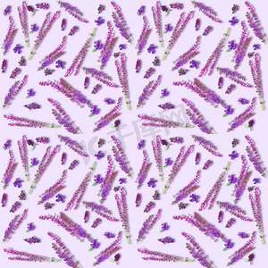 丁香茎摄影照片_淡紫丁香上紫色鼠尾草鲜花的 erbal 纹理