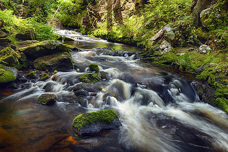 原始森林狩猎摄影照片_河流流过原始森林中的巨石