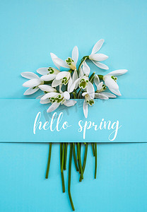 春天spring摄影照片_贺卡文字 HELLO SPRING 刻字与雪莲花。