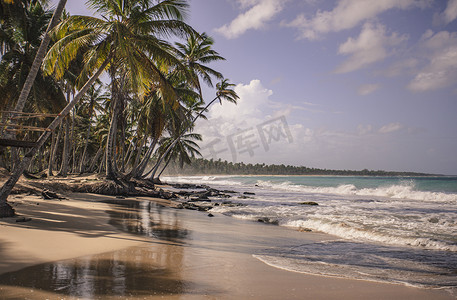 多米尼加共和国的普拉亚利蒙 5