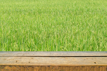 木架子和绿色稻田背景