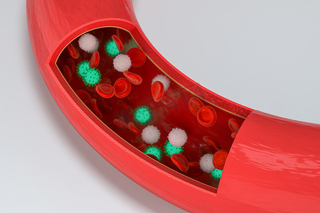 传染性的摄影照片_血管中的病毒，有红细胞和白细胞，3d 渲染。