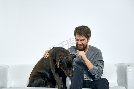 沙发上的狗狗摄影照片_沙发上有宠物狗的男人，有趣的朋友，情绪明亮的房间