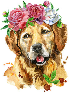金毛摄影照片_金毛猎犬与花的水彩肖像