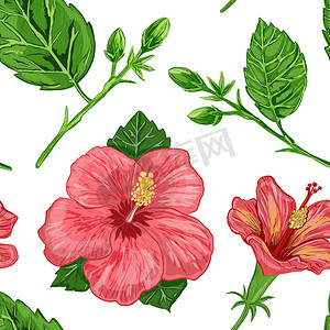 芙蓉植物无缝图案的插图-背景上植物的花朵和叶子