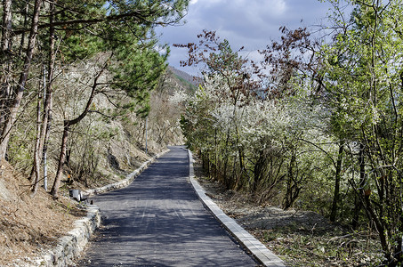 行人更在春山外摄影照片_春阴天罗森山风景如画的道路