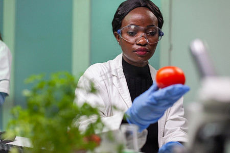 生物学家女研究员分析注入化学 dna 的番茄的前视图