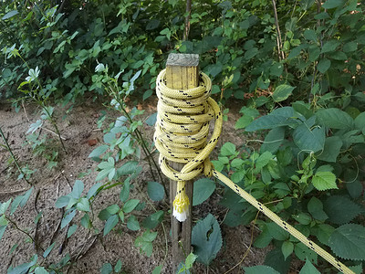 木桩上有植物的黄色和黑色绳子