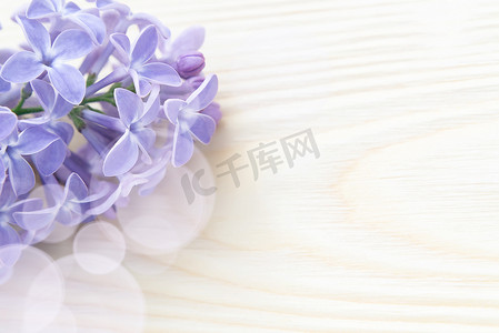 用于设计的美丽花卉空白 — 木桌上的丁香花边框，带有文本复制空间