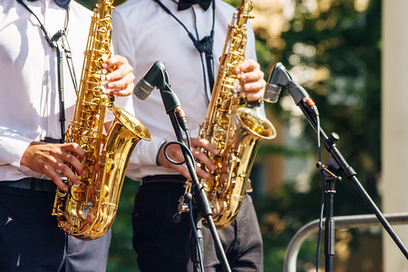 两名萨克斯管吹奏者在城市公园的爵士音乐节上演奏