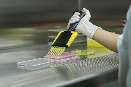 研究人员将测试液转移至 96 孔板进行微生物检测