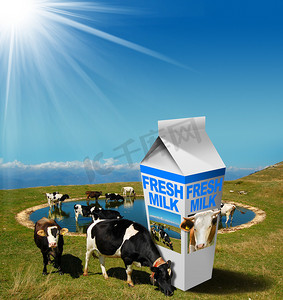 奶牛带着牛奶饮料盒放牧