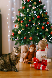 圣诞装饰品摄影照片_猫坐在圣诞树前，而婴儿正伸手去拿圣诞装饰品