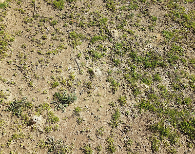 土丘摄影照片_孤独的蜂土丘、草和泥土