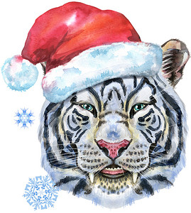 戴着圣诞帽的五颜六色的白老虎。