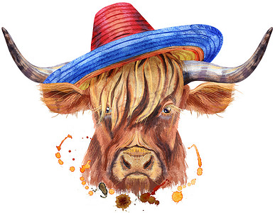 戴帽子的奶牛摄影照片_一头戴着宽边帽的棕色长角公牛的水彩画