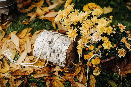 秋季婚礼在绿色草坪上的街道上举行。仪式上装饰着鲜花拱门