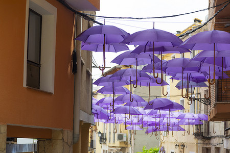 紫色城市背景布摄影照片_瓜达拉哈拉布里韦加主要街道上悬挂着紫色雨伞。