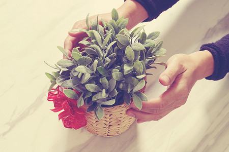送礼，男人手拿着植物花瓶，做出赠送 o 的手势