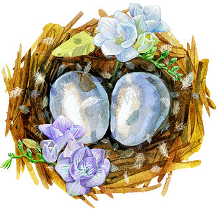 手绘水彩艺术鸟巢鸡蛋和鲜花，复活节设计。