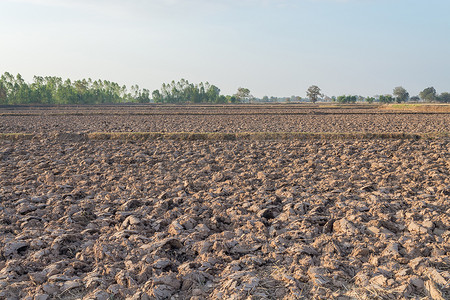 干旱稻田摄影照片_稻田准备种植土壤