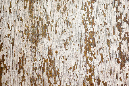 木质框摄影照片_用于复制空间的浅色木质背景，