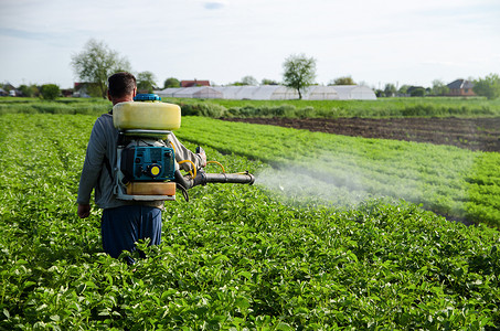 一名农民在马铃薯种植园里喷洒化学品。