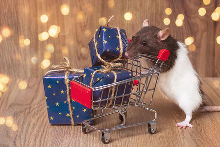 一只可爱的老鼠站在一辆装有圣诞或新年礼物的购物车旁边。 