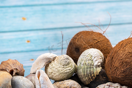 蓝色木质背景中的椰子、岩石和贝壳。海洋主题