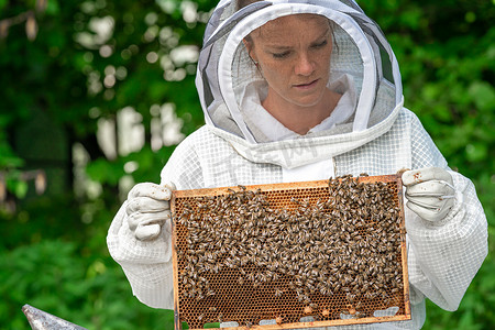蜜蜡摄影照片_养蜂业中有蜜蜂蜡框的女人
