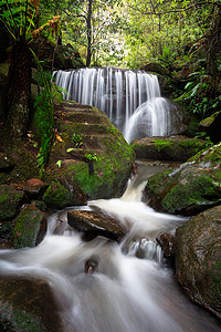 层叠的瀑布穿过茂密的热带雨林