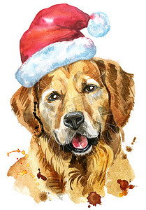 金毛猎犬水彩肖像与圣诞老人的帽子
