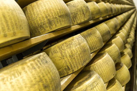 牛奶工厂摄影照片_Parmigiano 奶酪工厂与老化奶酪