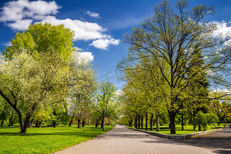 春天的公园，绿草如茵，阳光明媚。