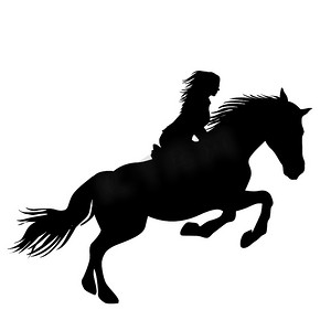 骑马跳跃的女骑手的剪影
