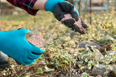 用化学矿物分级肥料在春季花园中施肥植物